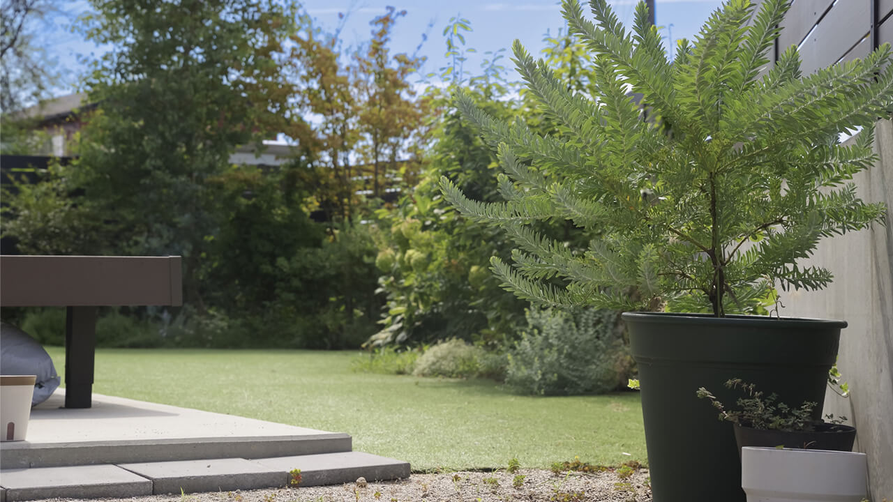 緑豊かな庭と植木鉢のあるエクステリア空間